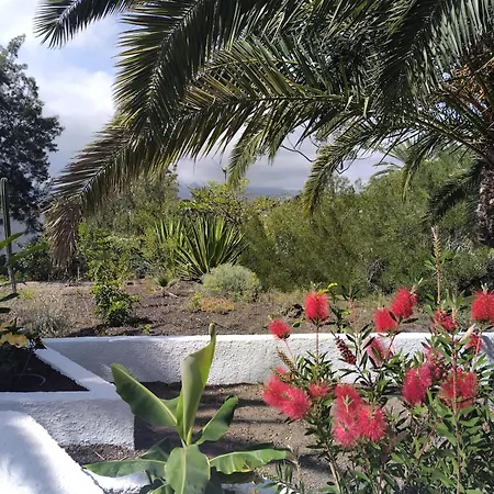 Paradise Hideaway Tenerife Appartamento Costa Del Silencio